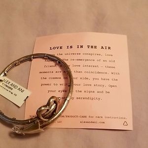 Nwt Love is in the air heart and arrow bracelet